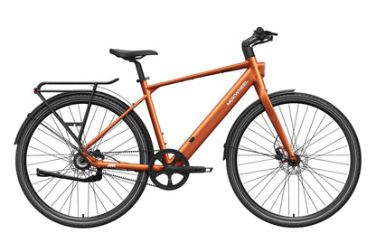 Mokwheel Flint Pro Ebike