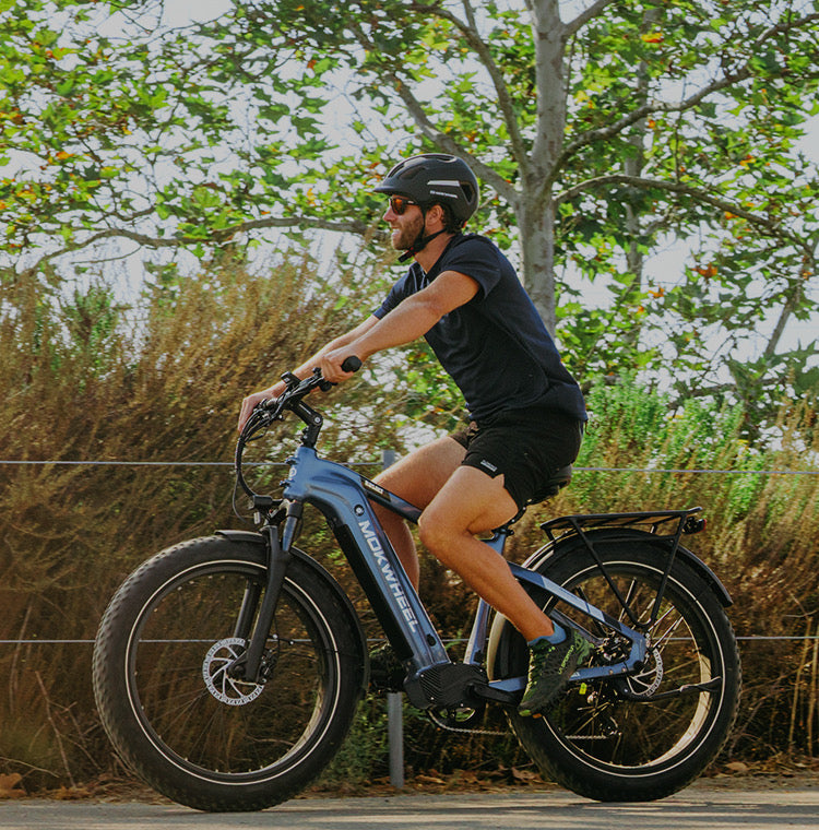 Off-Road Fat Tire